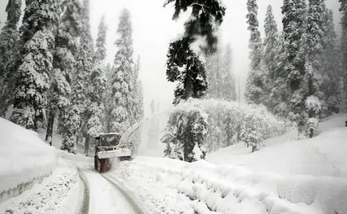 Sparkling Kashmir