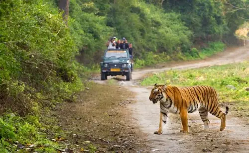 Nainital - Jim Corbett