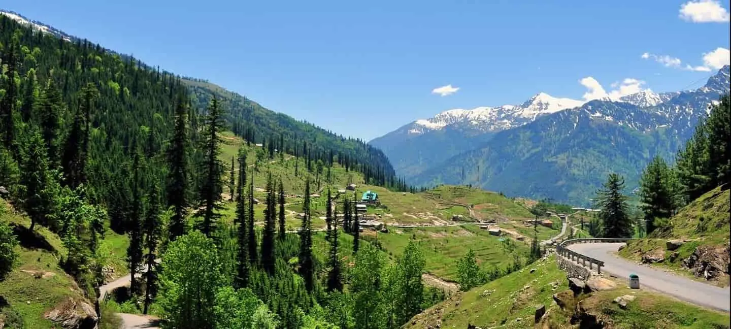 Pine forests and snow peaks in a Himalayan valley